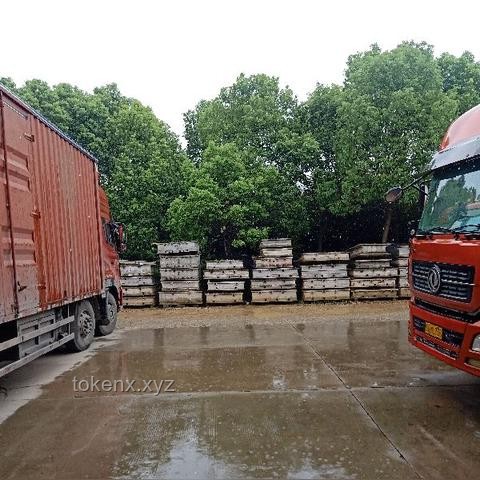 武汉暴雨全解析：来势汹汹，如何应对？